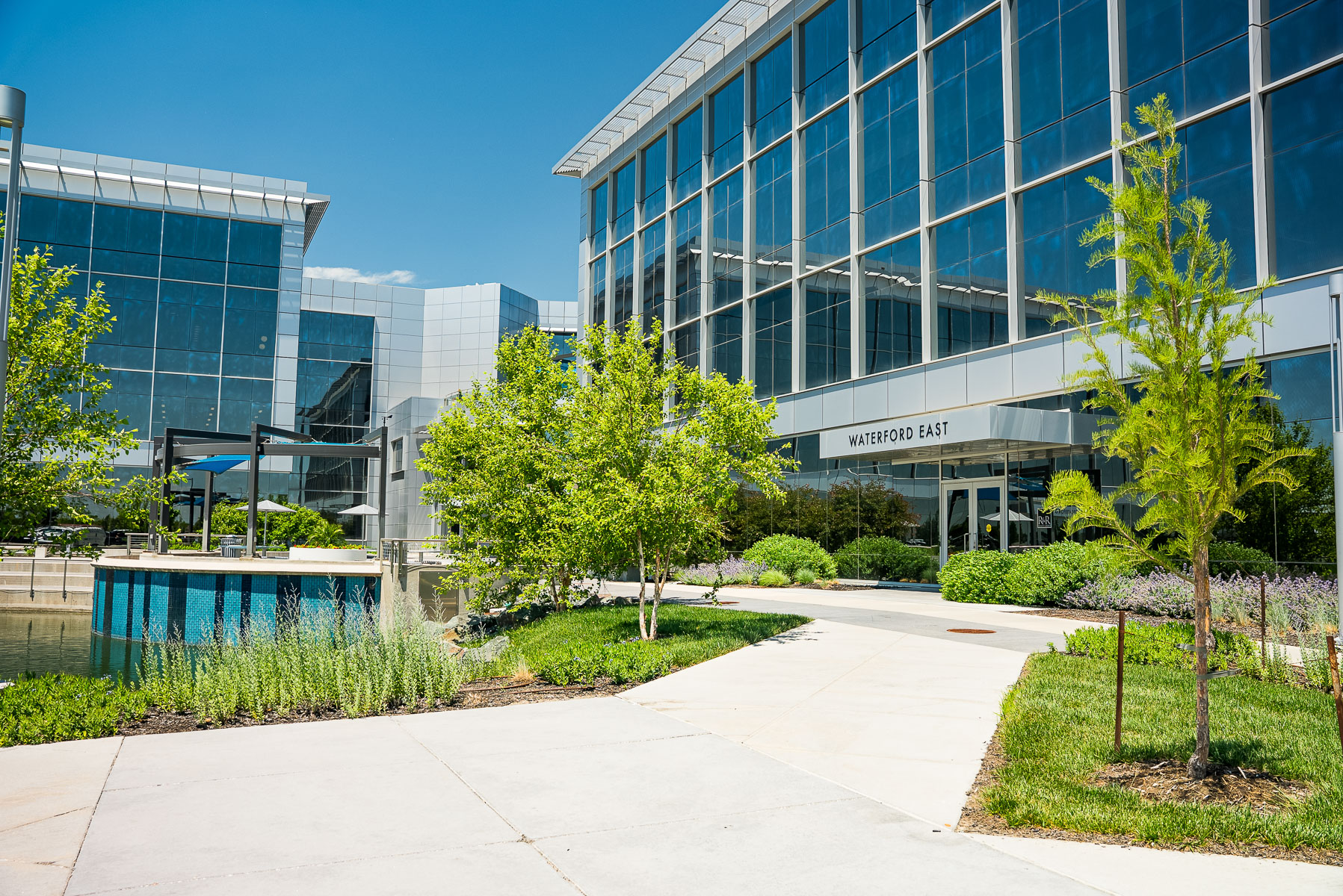 commercial maintenance property landscape planting bed russian sage salvia trees grass path sidewalk 2